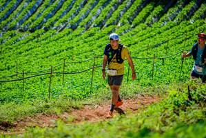 BIB: 
                            <button type="button" onclick="openModal(19163378)" class="btn btn-primary btn-sm float-right btn-popup" data-toggle="modal" data-target=".modal-high-quality">
                        <i class="fas fa-shopping-cart"></i> Add to Cart
                    </button>
                                            <button type="button" onclick="isThisMe(19163378, true)" class="btn btn-success btn-sm float-right btn-popup btn-isme hidden" data-toggle="tooltip" data-placement="bottom" title="นี่คือรูปของคุณใช่ไหม คลิกที่นี่เพื่อเอาเข้าอัลบั้ม">
                        <i class="fas fa-plus"></i> Add to album
                    </button>
                    <button type="button" onclick="isThisMe(19163378, false)" class="btn btn-warning btn-sm float-right btn-popup btn-isnotme hidden">
                        <i class="fas fa-ban"></i> Remove from album
                    </button>